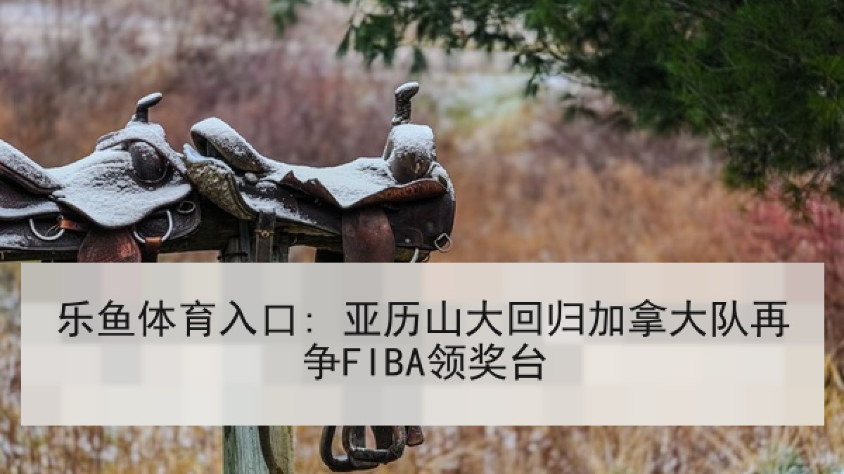 乐鱼体育入口: 亚历山大回归加拿大队再争FIBA领奖台 乐鱼体育入口: 亚历山大回归加拿大队再争FIBA领奖台